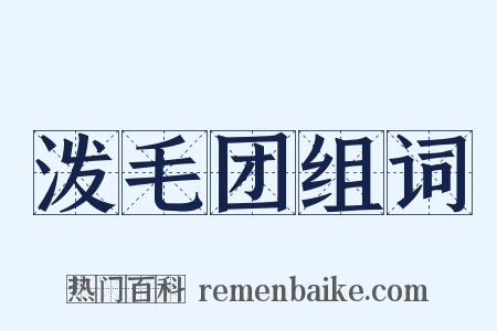 泼毛团组词是什么意思的图片